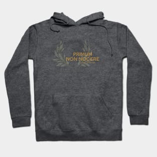 Primum non Nocere, First Do No Harm. Latin maxim. Hoodie